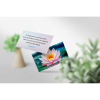 Lot de 50 mini-cartes d'encouragement