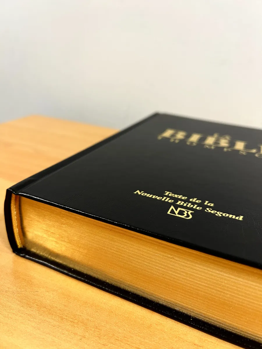Bible Thompson NBS rigide noir