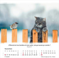 Calendrier Vivre - cartes postales avec méditations