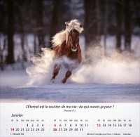 Calendrier Chevaux - Merveilles de la création