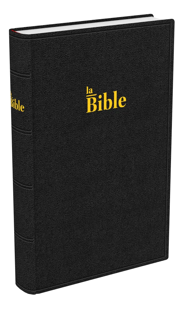 Bible Darby 2024  standard rigide - noir