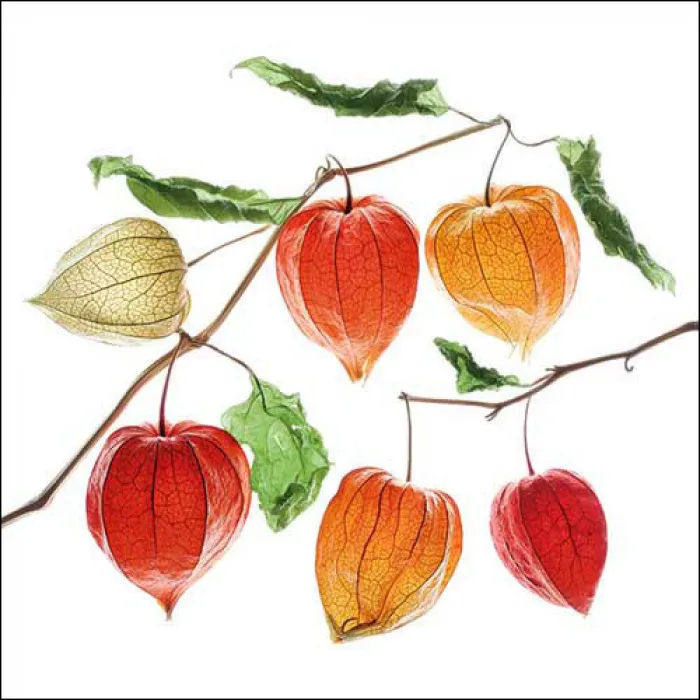 Serviette grande Guirlande de lampions