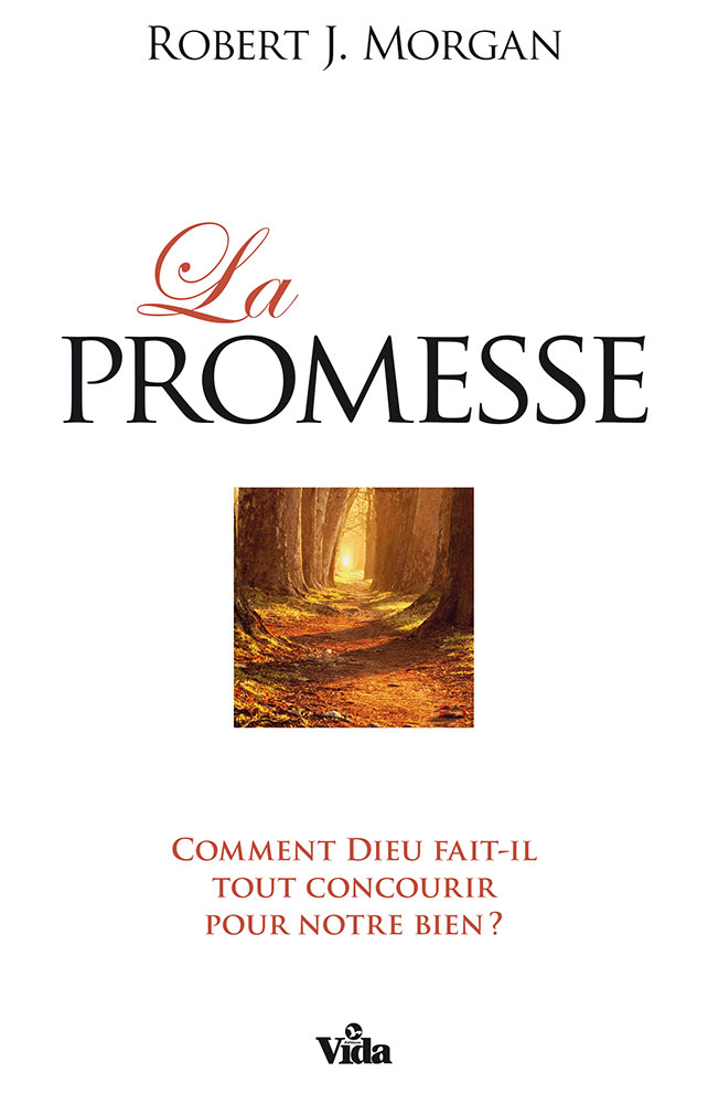 PROMESSE (LA) - COMMENT DIEU FAIT-IL TOUT CONCOURIR POUR NOTRE BIEN