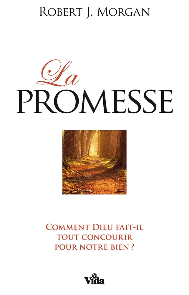 PROMESSE (LA) - COMMENT DIEU FAIT-IL TOUT CONCOURIR POUR NOTRE BIEN