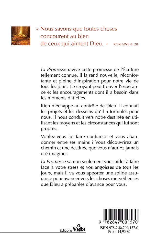 PROMESSE (LA) - COMMENT DIEU FAIT-IL TOUT CONCOURIR POUR NOTRE BIEN