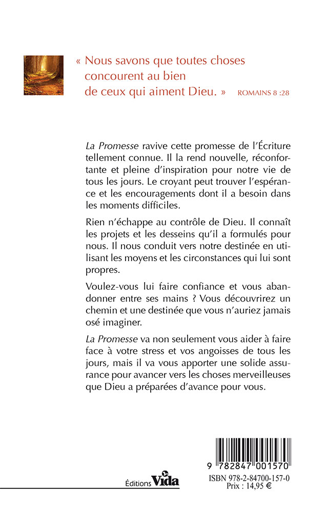 PROMESSE (LA) - COMMENT DIEU FAIT-IL TOUT CONCOURIR POUR NOTRE BIEN