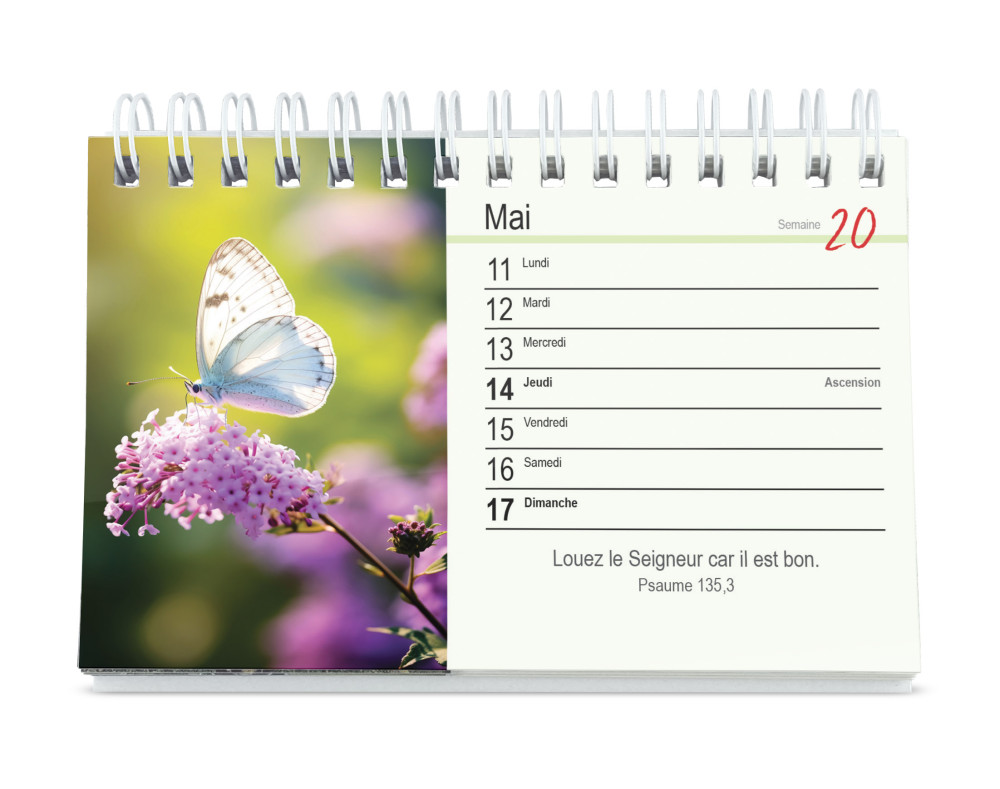 Calendrier Tu m'accompagnes