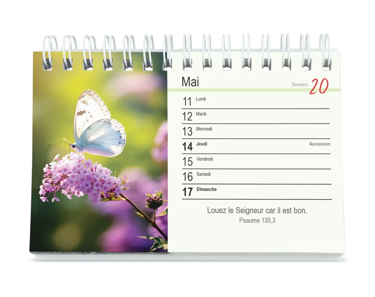 Calendrier Tu m'accompagnes