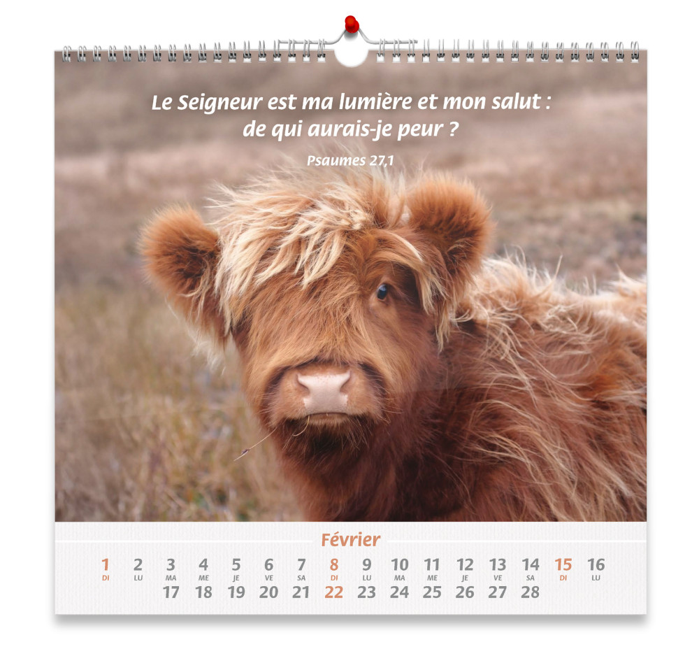 Calendrier Nos amis les animaux Calendrier Nos amis les animaux