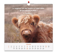 Calendrier Nos amis les animaux Calendrier Nos amis les animaux