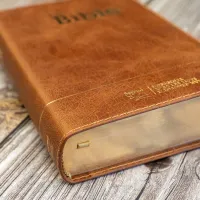 Bible Segond 21 compacte  (Premium style) - Couverture semi-rigide cuir brun, tranches or