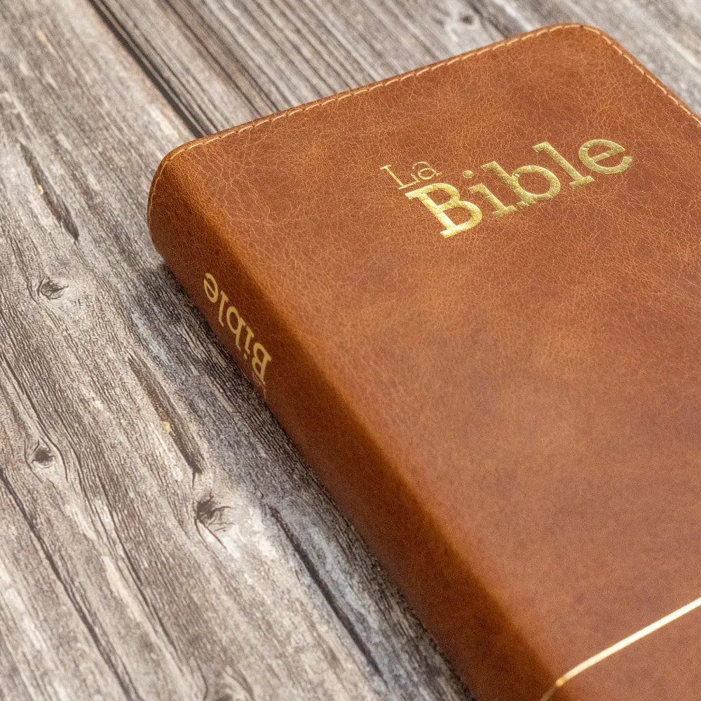 Bible Segond 21 compacte  (Premium style) - Couverture semi-rigide cuir brun, tranches or
