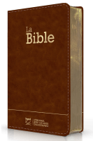 Bible Segond 21 compacte  (Premium style) - Couverture semi-rigide cuir brun, tranches or