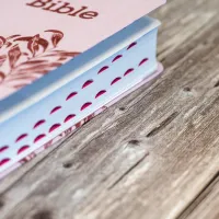 Bible Segond 21 compacte (Premium Style) - couverture souple toile rose et onglets