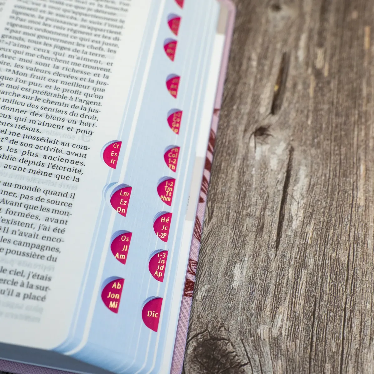 Bible Segond 21 compacte (Premium Style) - couverture souple toile rose et onglets