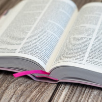 Bible Segond 21 compacte (Premium Style) - couverture souple toile rose et onglets