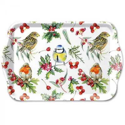 Plateau petit Oiseaux en hiver