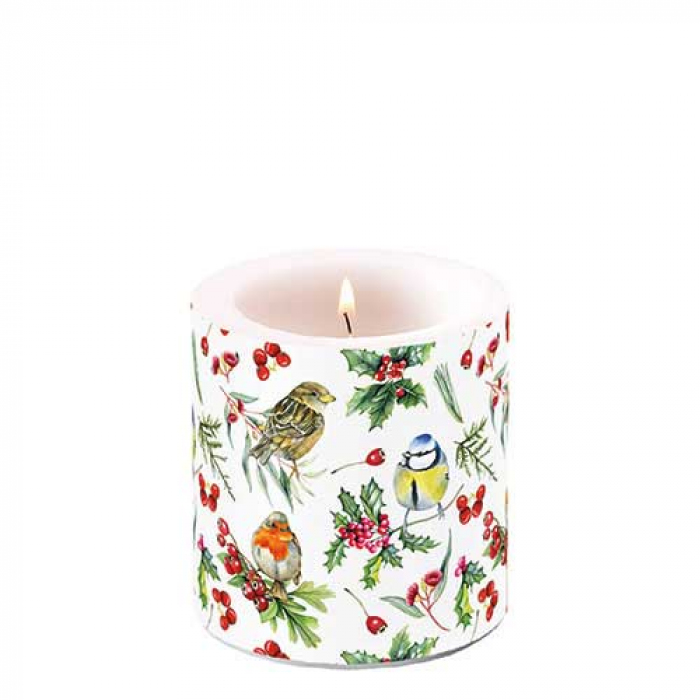 Bougie petite Oiseaux en hiver