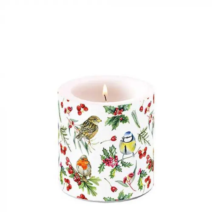 Bougie petite Oiseaux en hiver