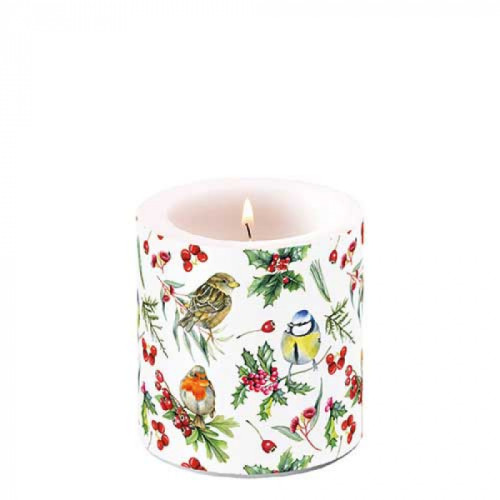 Bougie petite Oiseaux en hiver