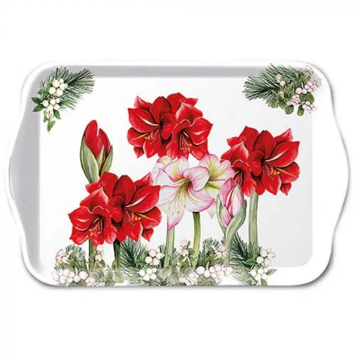 Plateau petit Floraison Amarylis