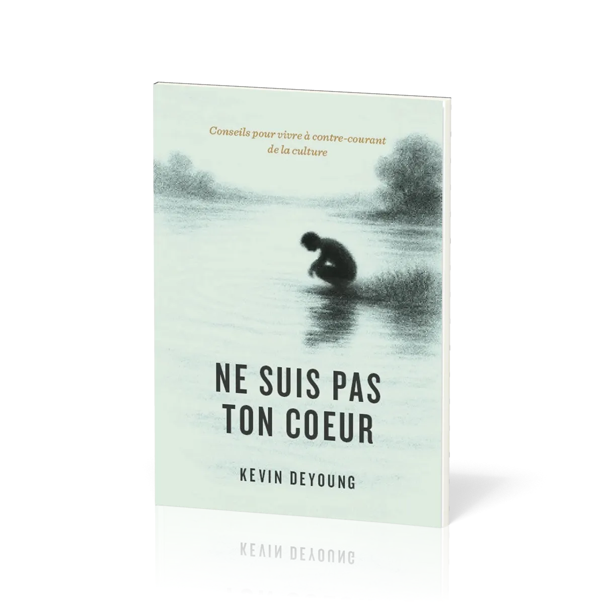   Conseils pour ne pas suivre les valeurs de ce monde                         