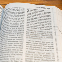 Bible Segond 21, gros caractères - couverture rigide et illustrée - rose