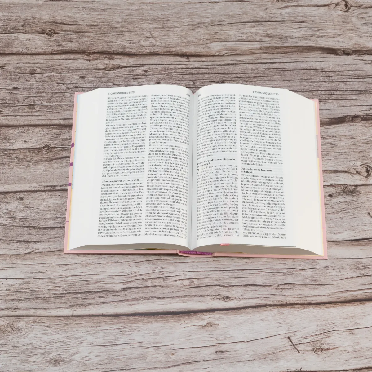 Bible Segond 21 compact rose - couverture rigide Skyvertex