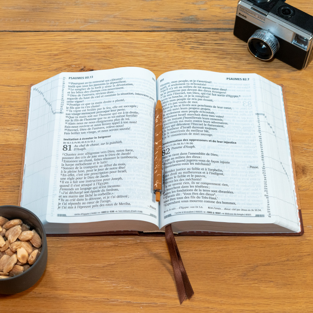 Bible Segond 21, gros caractères - couverture semi-rigide, papier brun chiné en fibres naturelles