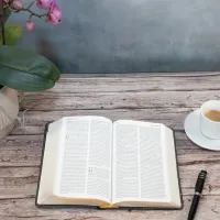 Bible Segond 21 compacte  (Premium style) - Couverture semi-rigide cuir anthracite, tranches or