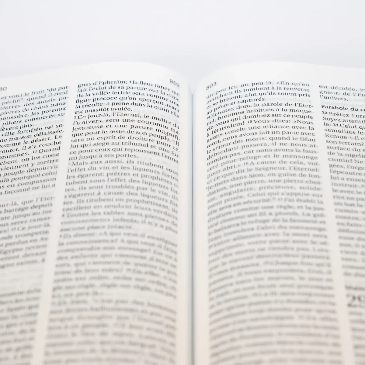 Bible Segond 21 compacte  (Premium style) - Couverture semi-rigide cuir anthracite, tranches or