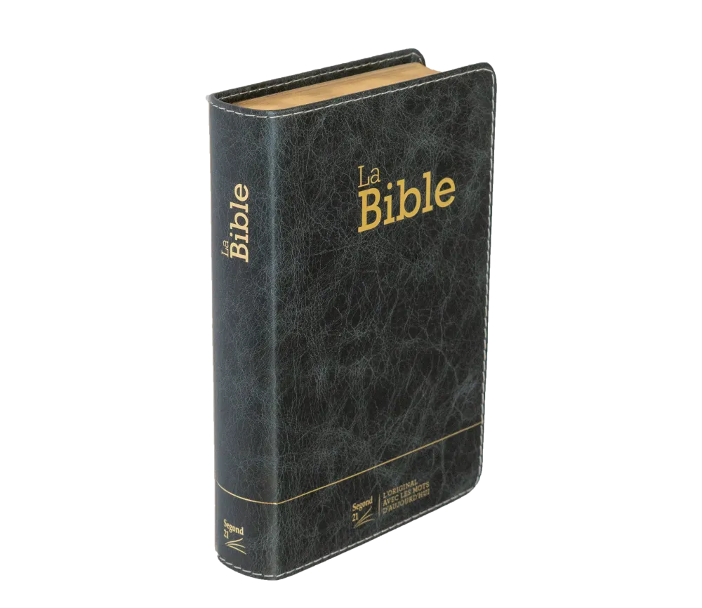 Bible Segond 21 compacte  (Premium style) - Couverture semi-rigide cuir anthracite, tranches or