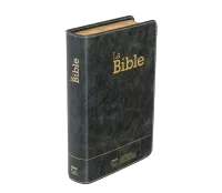 Bible Segond 21 compacte  (Premium style) - Couverture semi-rigide cuir anthracite, tranches or