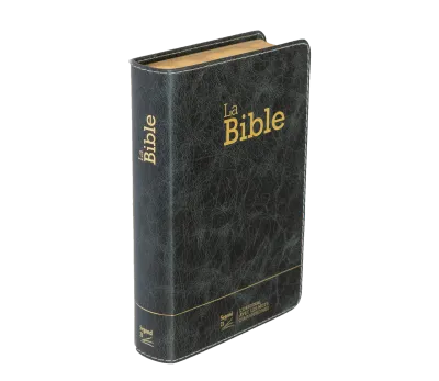 Bible Segond 21 compacte  (Premium style) - Couverture semi-rigide cuir anthracite, tranches or