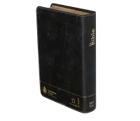 Bible Segond 21 compacte  (Premium style) - Couverture semi-rigide cuir anthracite, tranches or