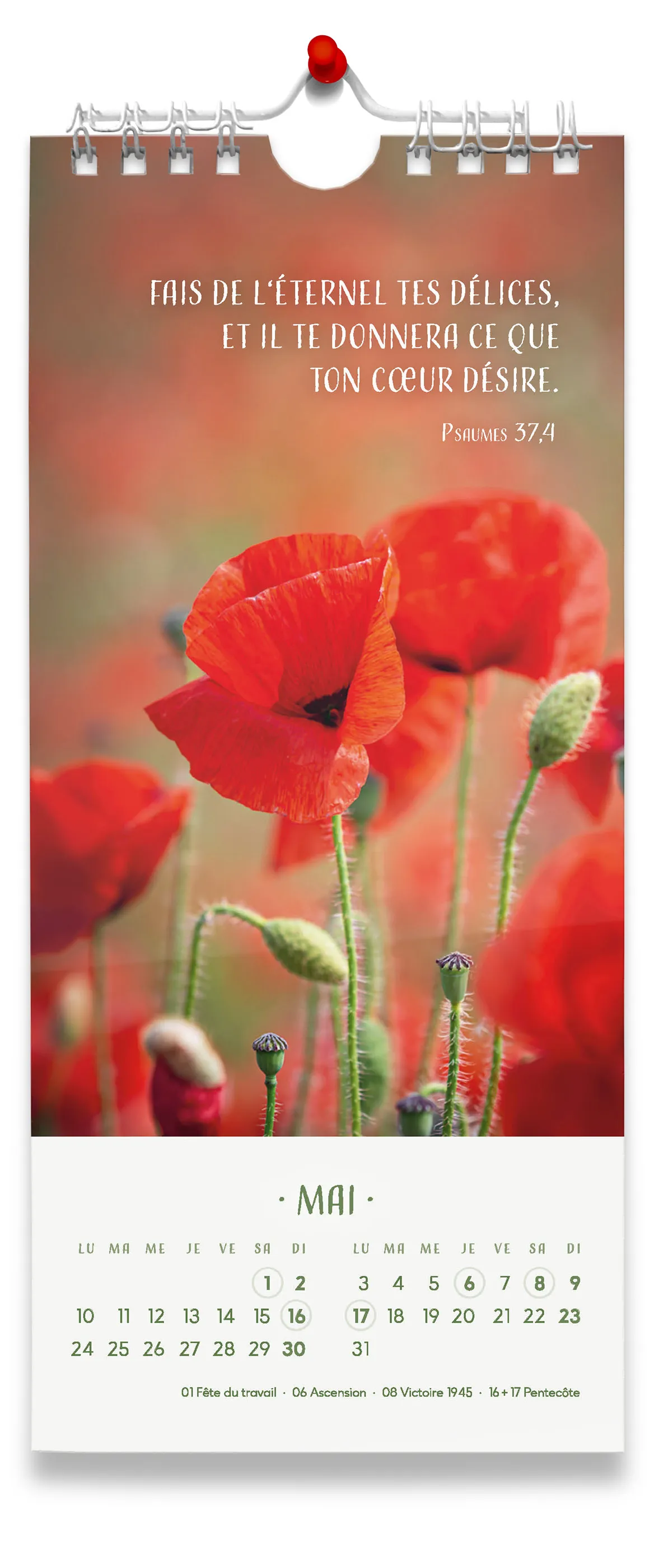 Calendrier Les fleurs - avec verset