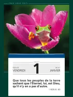 Calendrier Paix vous soit - Gros caractères - 1 verset