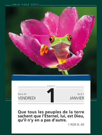 Calendrier Paix vous soit - Gros caractères - 1 verset