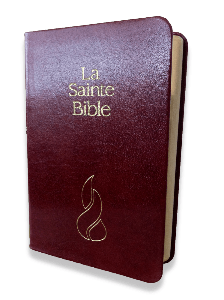 BIBLE NEG MINIATURE FIBROCUIR TR. OR GRENAT