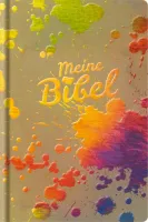 BIBLE SCHLACHTER 2000 - COUV. ILLUSTREE