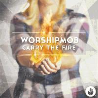 Carry the fire - CD