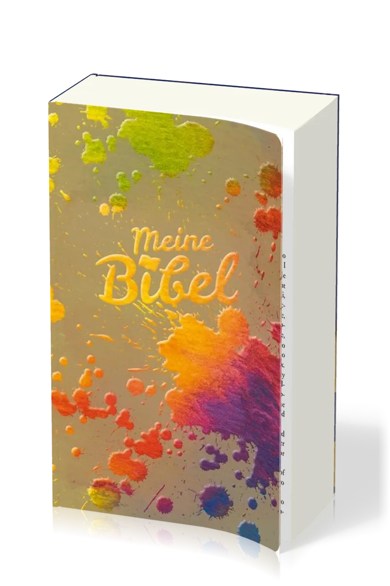 BIBLE SCHLACHTER 2000 - COUV. ILLUSTREE