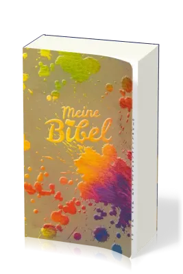 BIBLE SCHLACHTER 2000 - COUV. ILLUSTREE