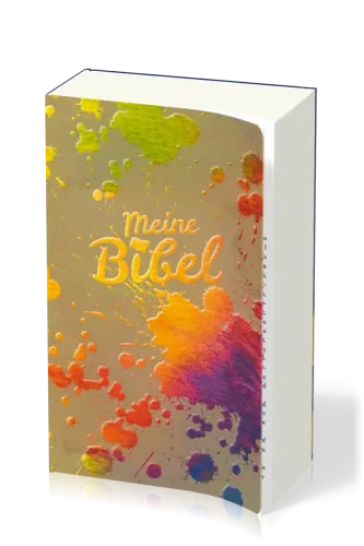 BIBLE SCHLACHTER 2000 - COUV. ILLUSTREE