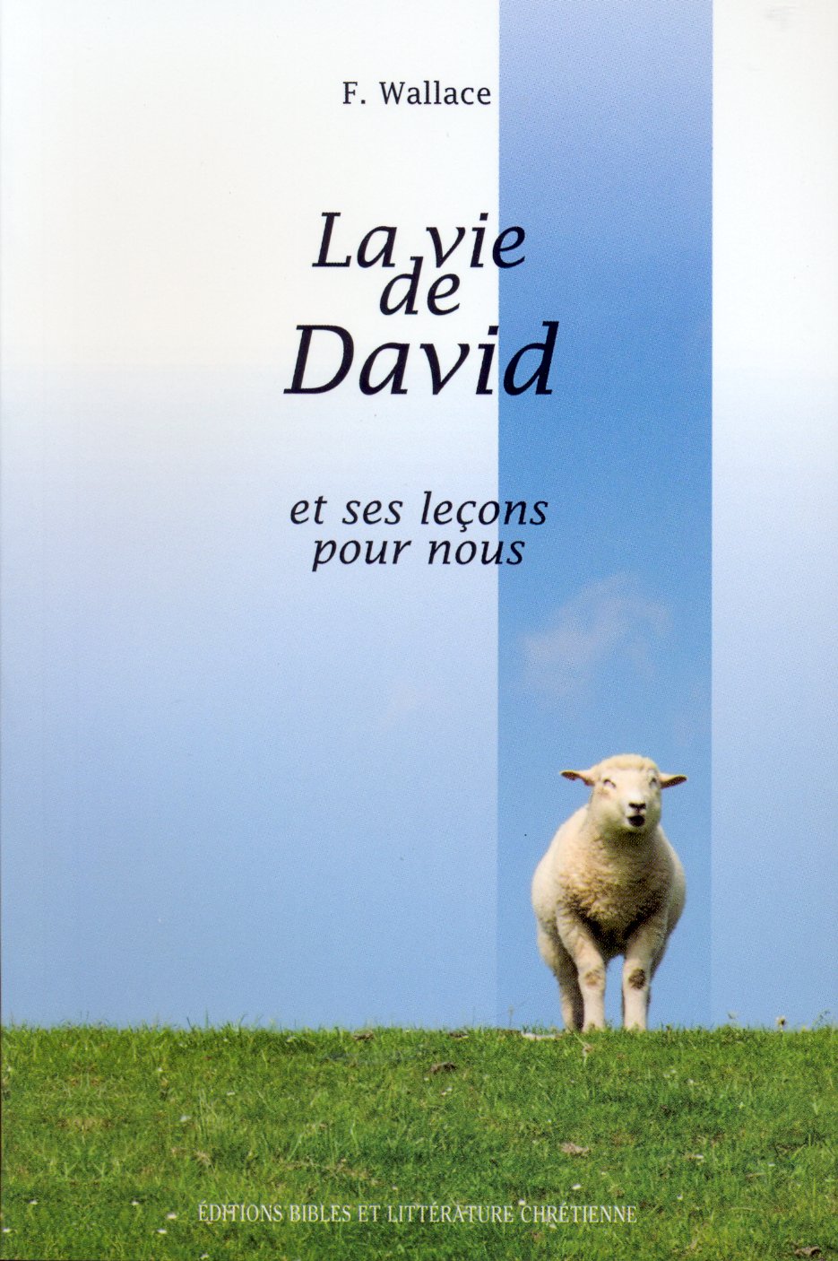 VIE DE DAVID ET SES LECONS POUR NOUS (LA)