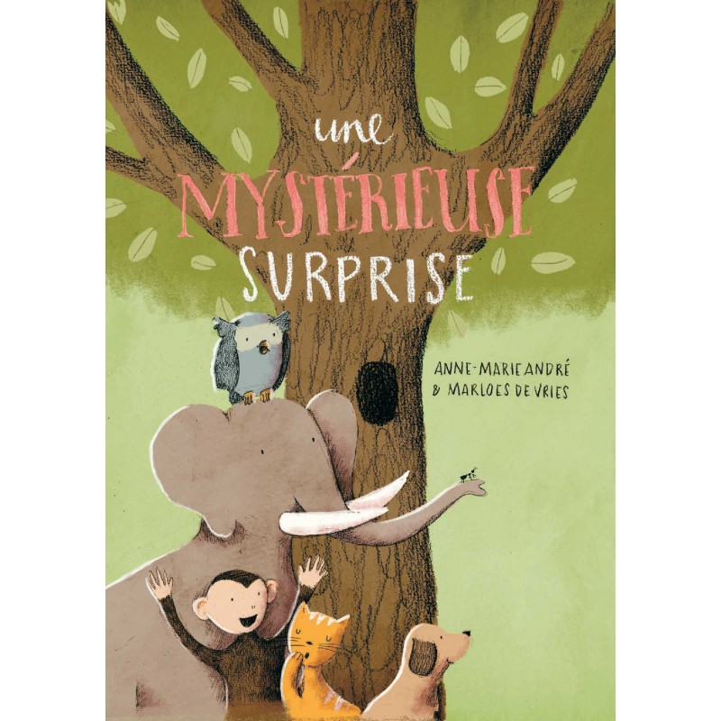 UNE MYSTERIEUSE SURPRISE