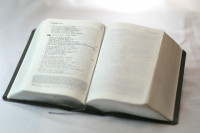 Bible Colombe - interfoliée similicuir gris avec étui