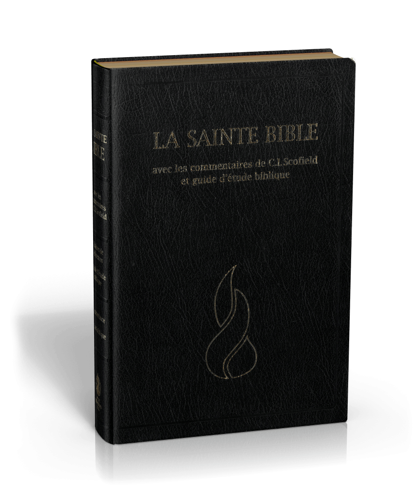 Bible NEG Scofield - fibrocuir noir tranche or onglets