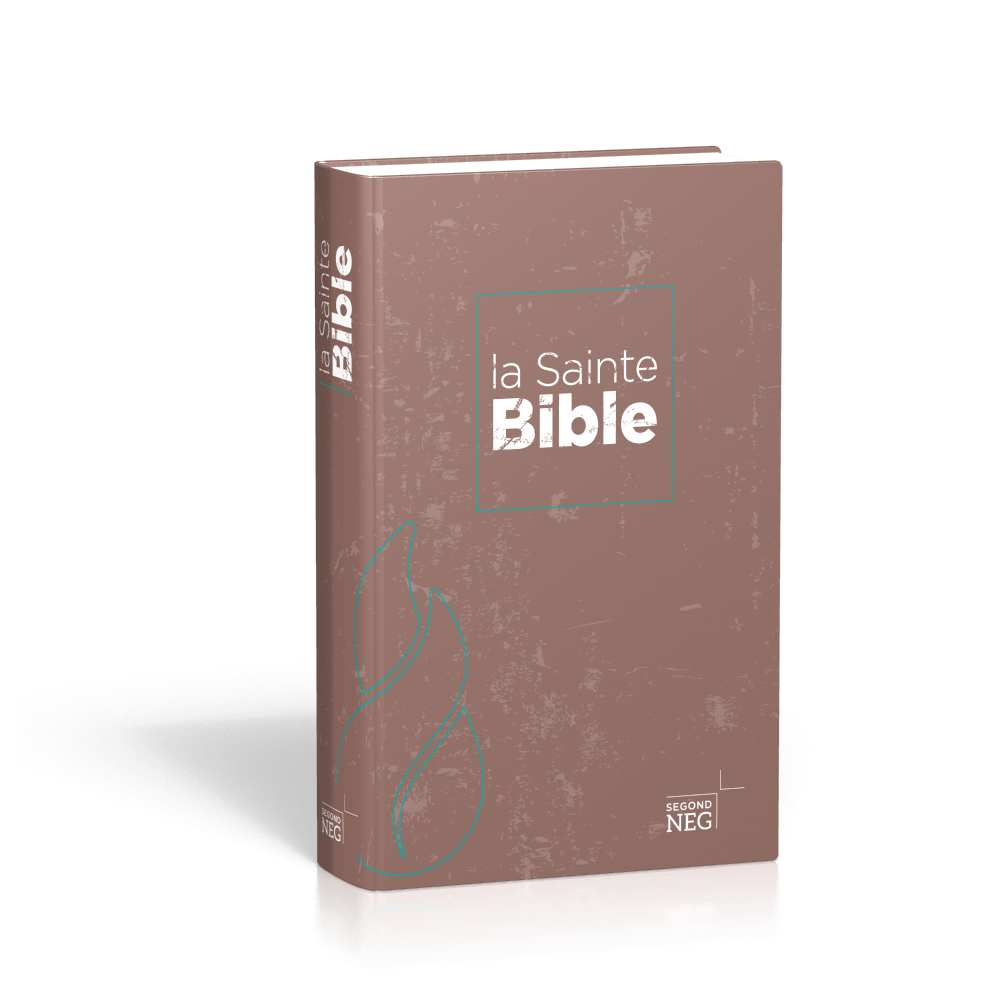 Bible NEG compact rigide illustrée