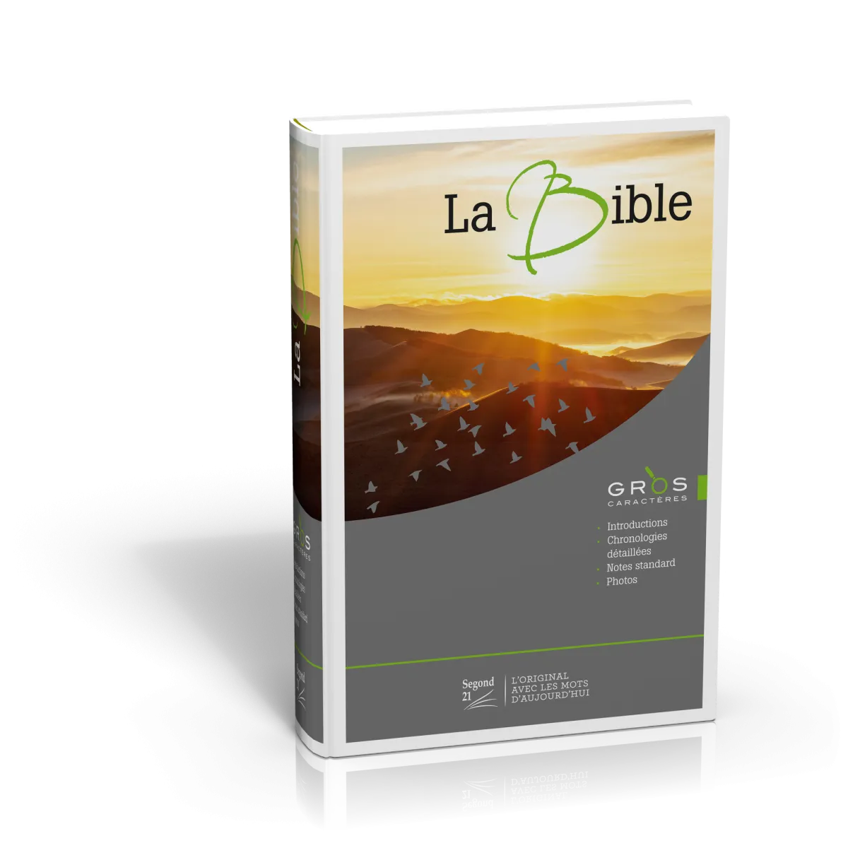 Bible Segond 21 gros caractères rigide illustrée